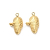 304 Stainless Steel Charms STAS-K306-59B-G-1