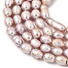 Natural Cultured Freshwater Pearl Beads Strands PEAR-F020-05B-4