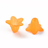 Transparent Acrylic Beads PLF018-08-5