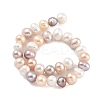 Natural Cultured Freshwater Pearl Beads Strands PEAR-C003-13E-3