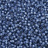 MIYUKI Round Rocailles Beads X-SEED-G007-RR0648-3