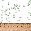 6/0 Opaque Colours Seep Glass Seed Beads SEED-F003-04A-06-4