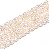 Natural Cultured Freshwater Pearl Beads Strands PEAR-N012-02Y-01-5