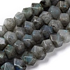 Natural Labradorite Beads Strands G-I194-46-1