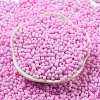 Macaron Color Opaque Frosted Glass Seed Beads SEED-K009-12B-05-2