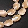 Natural Trochid Shell/Trochus Shell Beads Strands SSHEL-K008-03-3