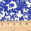 Glass Seed Beads SEED-S042-04A-14-4