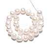Natural Cultured Freshwater Pearl Beads Strands PEAR-N027-04B-3