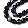 Natural Agate Beads Strands G-N326-100A-12-4