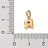 316L Surgical Stainless Steel Charms LS-STAS-G315-01G-R-3