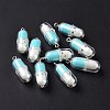 Translucent Plastic Pendants KY-L006-29E-2