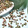 Unakite Chip Beads X-G-O103-14-4