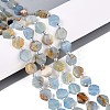 Natural Blue Calcite Beads Strands G-P534-A24-01-1