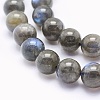 Natural Labradorite Beads Strands G-O166-08-8mm-3