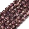 Natural Lepidolite/Purple Mica Stone Beads Strands G-G925-02B-2