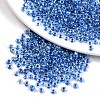 6/0 Glass Seed Beads X-SEED-A015-4mm-2208-1