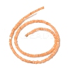 Natural Freshwater Shell Beads Strands SHEL-P017-01B-05-2