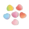 Imitation Candy Food Style Resin Cabochons RESI-R461-01M-1