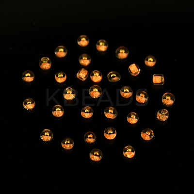 Glow in the Dark Luminous Transparent 8/0 Glass Seed Beads SEED-YWC0001-01C-1