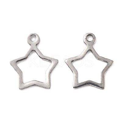 Tarnish Resistant 201 Stainless Steel Charms STAS-K217-05-1