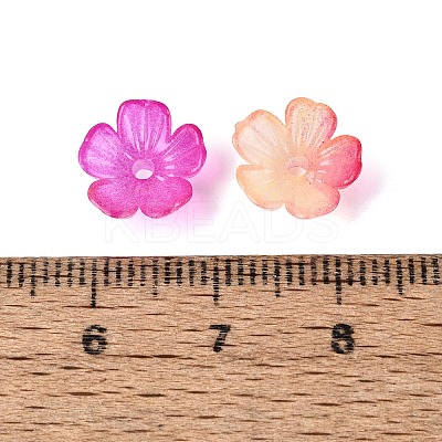 Transparent Plastic Bead Caps KY-Q005-02A-08-1