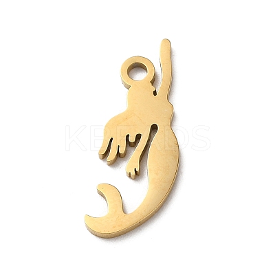 Ion Plating(IP) 304 Stainless Steel Pendants STAS-Q303-24G-1