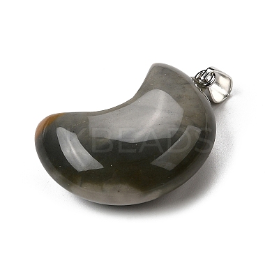 Natural Picasso Jasper/Polychrome Jasper Pendants G-F820-02H-1