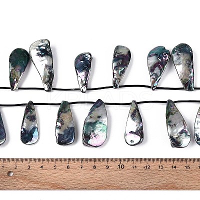 AB Color Plated Dyed Natural Freshwater Shell Beads Strands SHEL-T020-55B-1