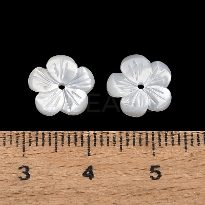 Natural White Shell Beads SH-CBA93AD-07B-1
