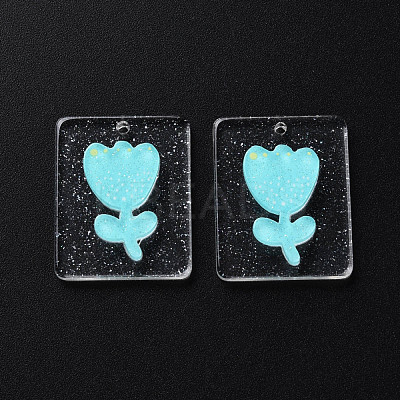 Cellulose Acetate(Resin) Pendants KY-N015-73-1