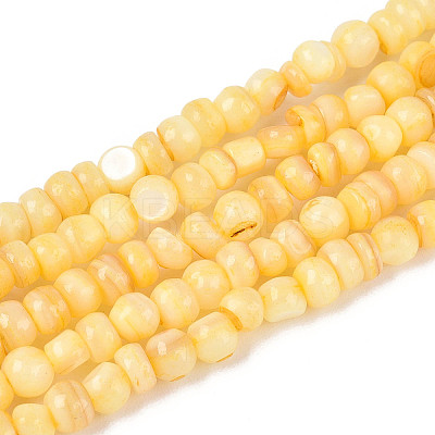 Natural Freshwater Shell Dyed Beads Strands SHEL-T020-29A-08-1