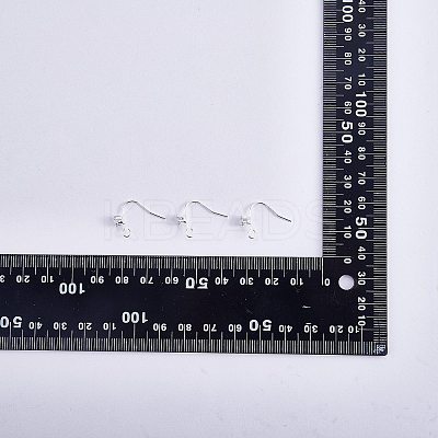 20Pcs 2 Color Brass Earring Hooks JX502A-1