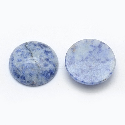 Natural Blue Spot Jasper Cabochons G-E492-A-03-1
