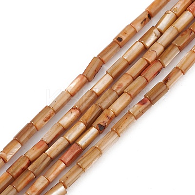 Natural Freshwater Shell Dyed Beads Strands X-SHEL-M018-11-11-1
