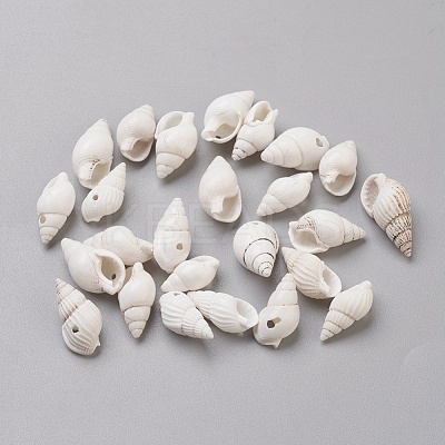 Spiral Shell Beads BSHE-L037-03-1