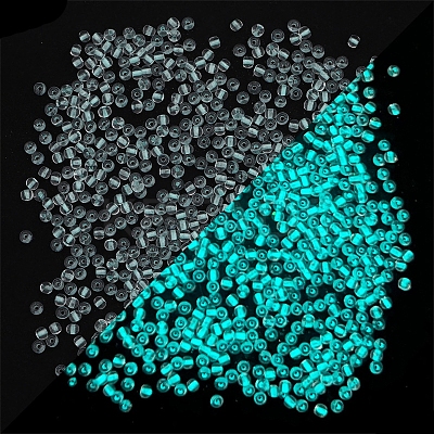 8/0 Luminous Glass Seed Beads X-LUMI-PW0001-186B-09-1
