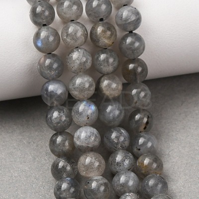 Natural Labradorite Beads Strands G-H326-01-6MM-1-1