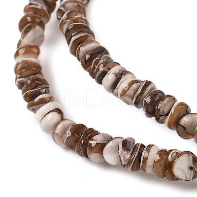 Natural Black Lip Shell Beads Strands SSHEL-F304-02A-1
