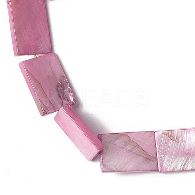 Natural Freshwater Shell Beads Strands SHEL-C003-04-1