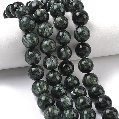 Natural Seraphinite Beads Strands G-C270-O01-13-1
