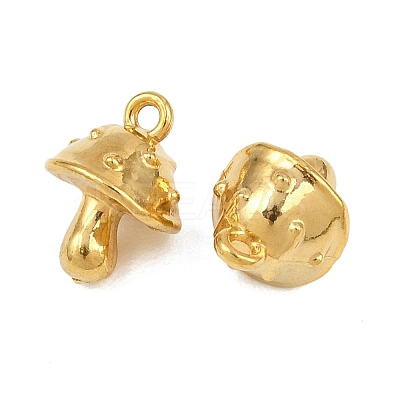 304 304 Stainless Steel Charms STAS-B167-22A-G-1