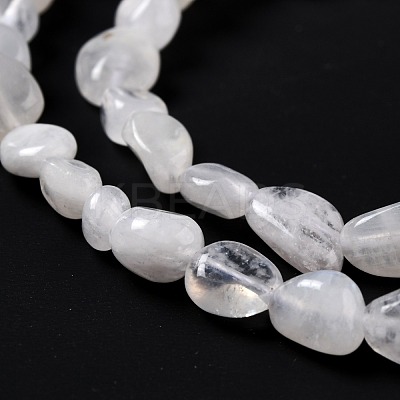 Natural Rainbow Moonstone Beads Strands G-G018-48-1