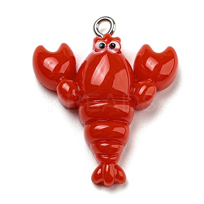 Opaque Resin Imitation Food Pendants CRES-D019-01D-1