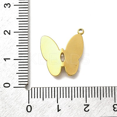 304 Stainless Steel with Cubic Zirconia and Shell Charms LS-STAS-Q347-09A-G-1