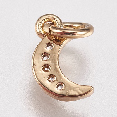 Brass Micro Pave Cubic Zirconia Charms ZIRC-E147-59G-1
