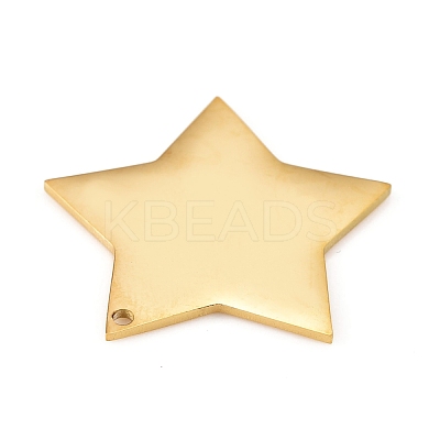 304 Stainless Steel Pendants STAS-L238-108B-G-1