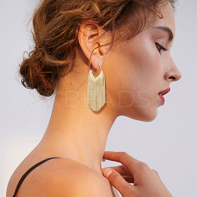 2 Pairs 2 Colors Alloy Tassel Stud Earrings EJEW-AN0004-75-1
