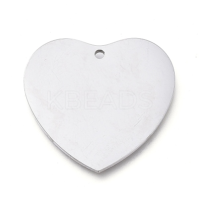 Tarnish Resistant 304 Stainless Steel Pendants STAS-L238-099B-P-1