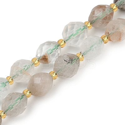 Natural Green Lodolite Quartz  Beads Strands G-N342-149A-1