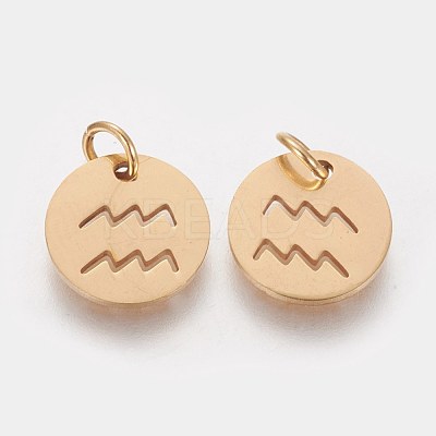 304 Stainless Steel Charms STAS-Q201-T445-11G-1